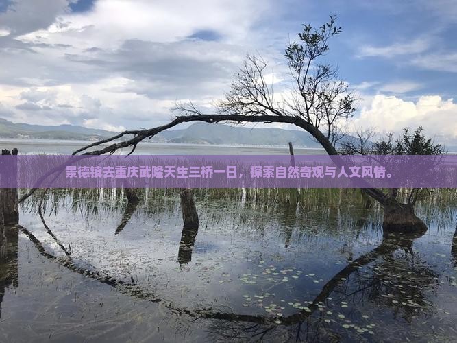 景德镇去重庆武隆天生三桥一日