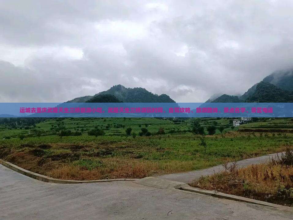 运城去重庆武隆天生三桥旅游小吃