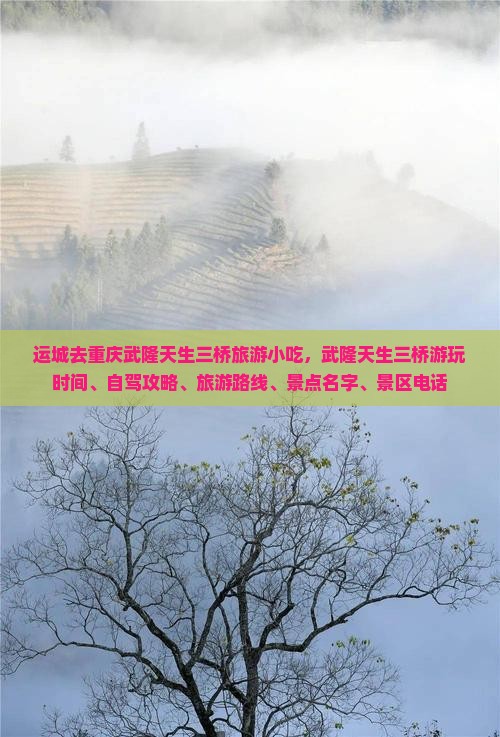运城去重庆武隆天生三桥旅游小吃