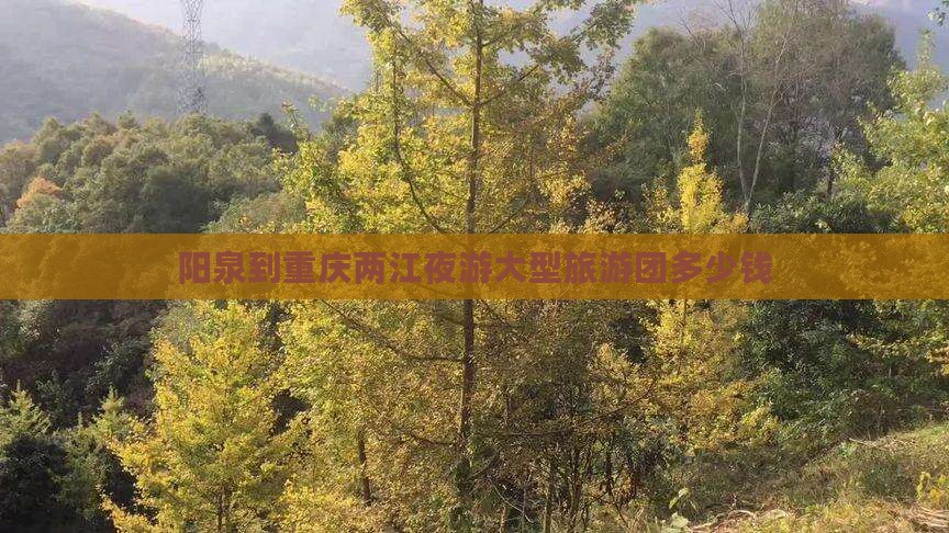 阳泉到重庆两江夜游大型旅游团