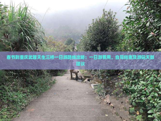 春节到重庆武隆天生三桥一日
