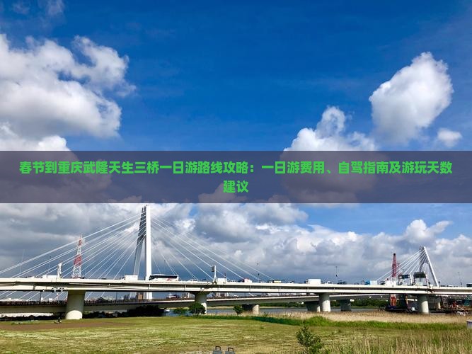 春节到重庆武隆天生三桥一日