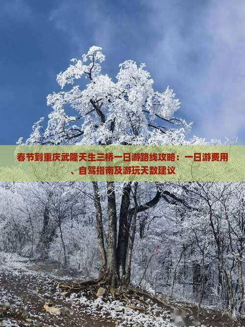 春节到重庆武隆天生三桥一日