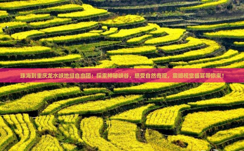 珠海到重庆龙水峡地缝自由团