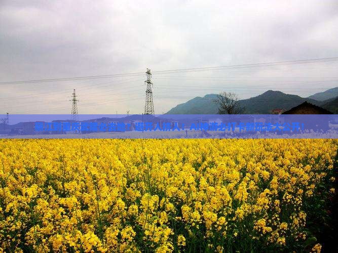 丽江到重庆武隆必去地