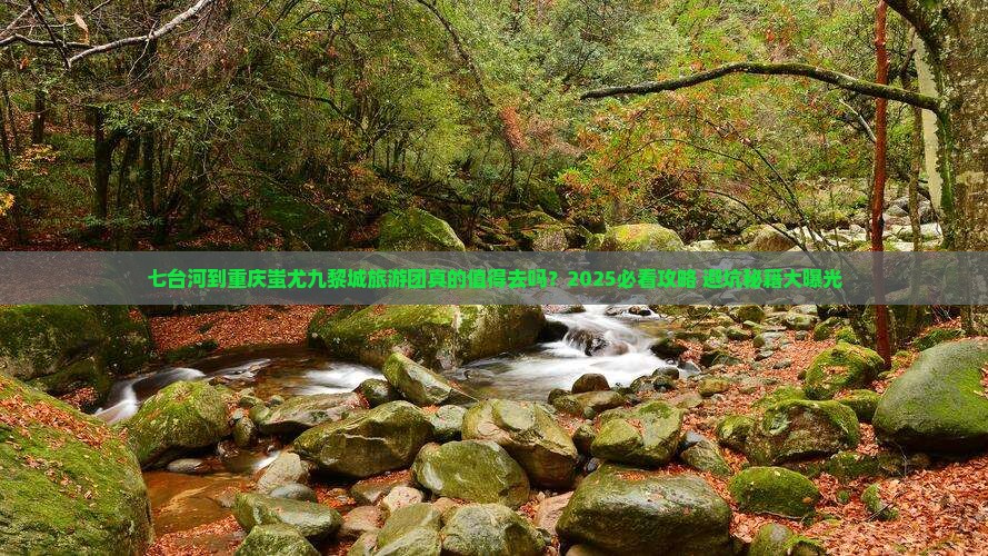 七台河到重庆蚩尤九黎城大型旅游团