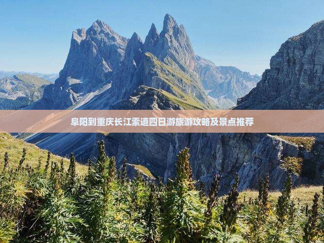 阜阳到重庆长江索道四日游