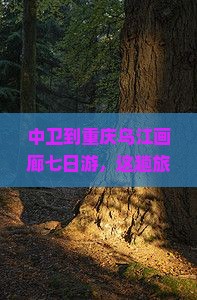 中卫到重庆乌江画廊七日游