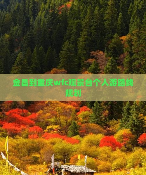 金昌到重庆wfc观景台个人游