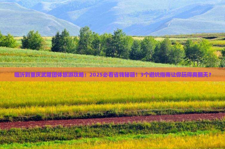 临沂到重庆武隆团体旅游