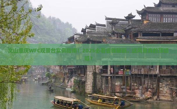 文山去重庆wfc观景台个人游
