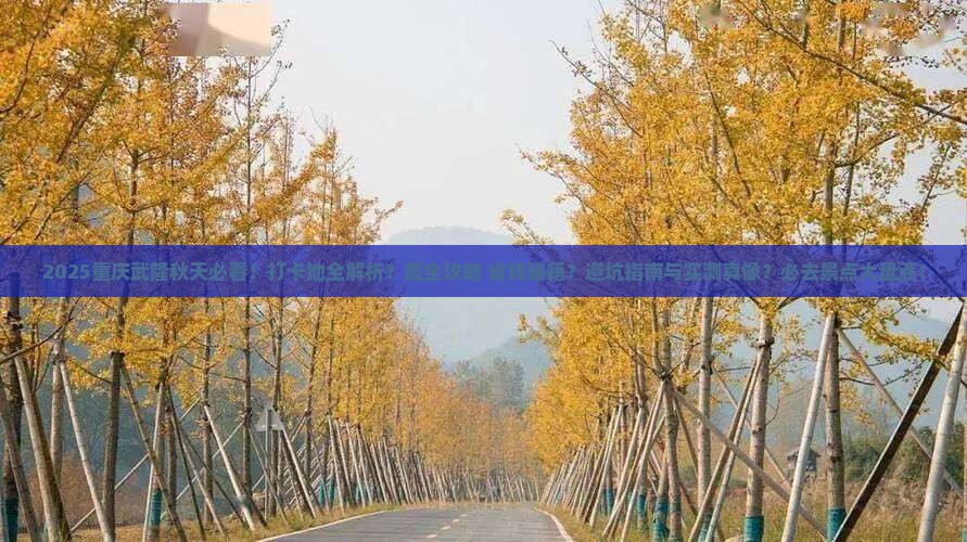 秋天到重庆武隆必去地