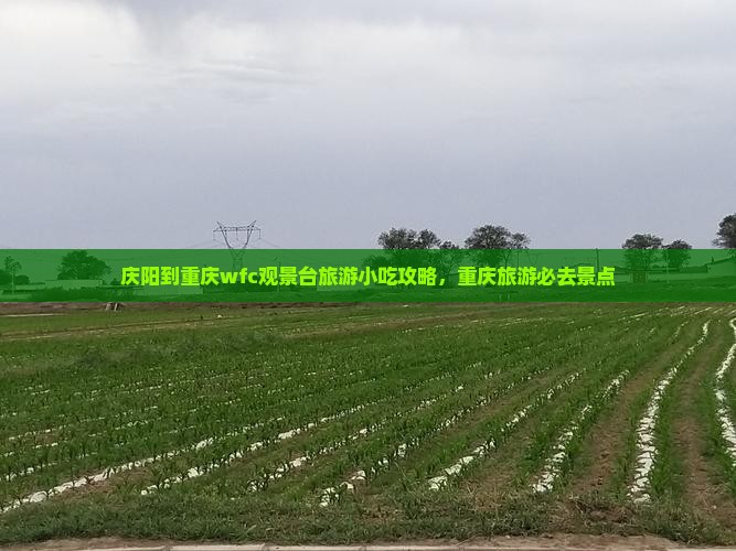 庆阳到重庆wfc观景台旅游小吃