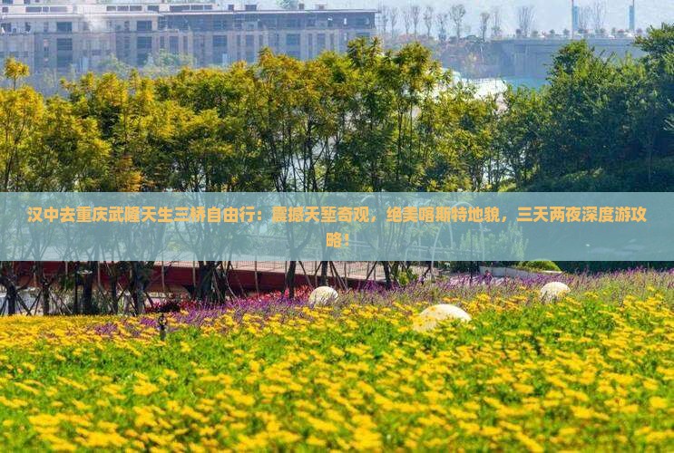 汉中去重庆武隆天生三桥自由行