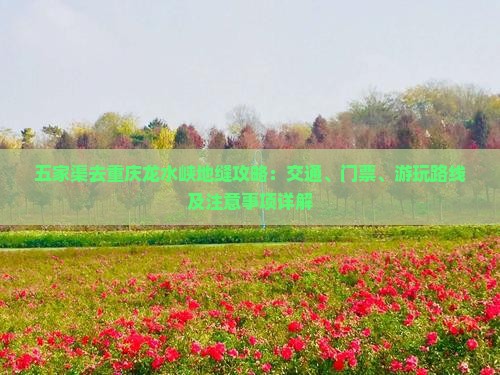 五家渠去重庆龙水峡地缝攻略