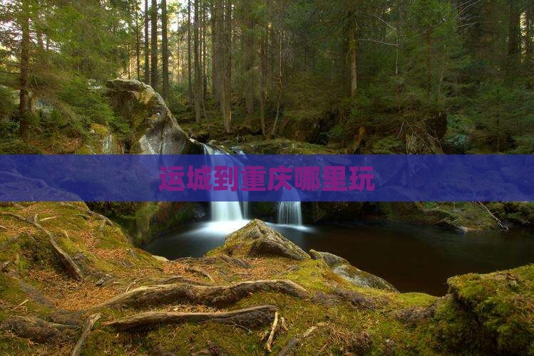 运城到重庆哪里玩