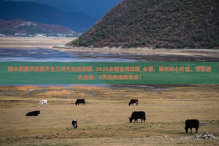 丽水到重庆武隆天生三桥大型旅游团