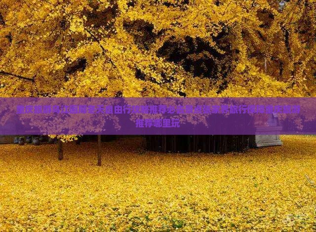 冬天去重庆乌江画廊哪里玩