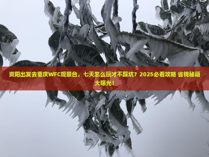 资阳去重庆wfc观景台七日游