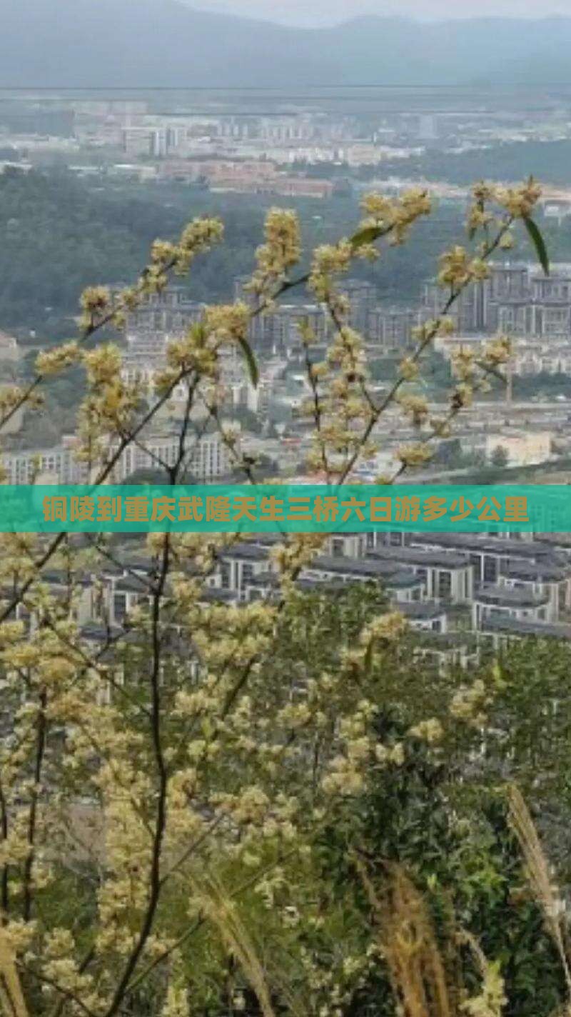 铜陵到重庆武隆天生三桥六日游