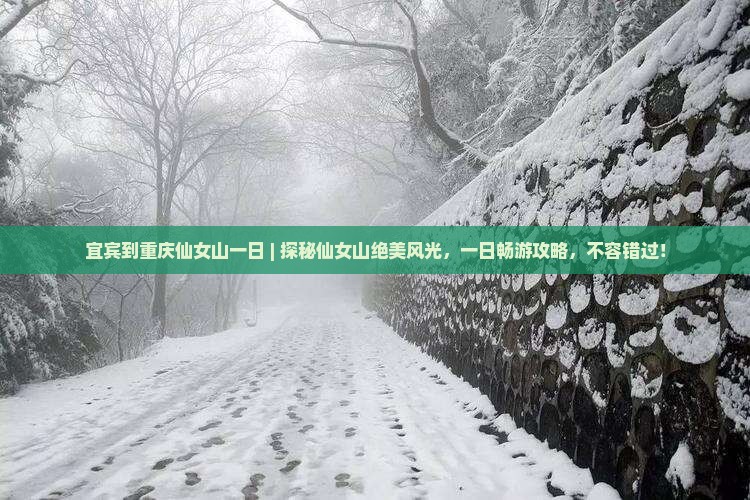 宜宾到重庆仙女山一日