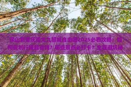 保山到重庆蚩尤九黎城自由团