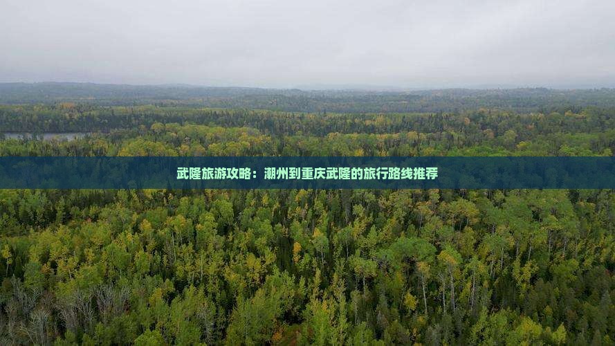 潮州去重庆武隆旅行社