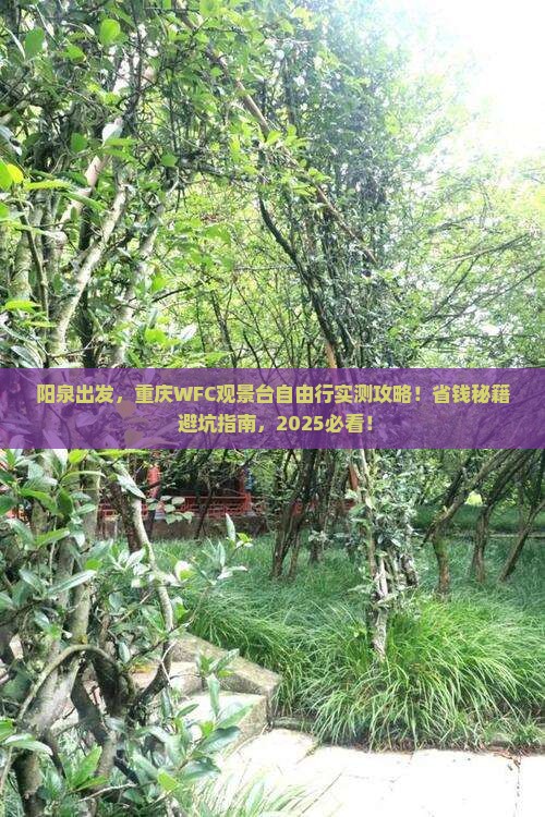 阳泉到重庆wfc观景台自由行