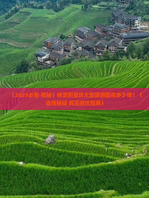 林芝去重庆大型旅游团