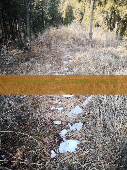 辽源到重庆仙女山必去地