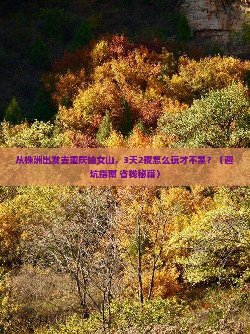 株洲去重庆仙女山旅游
