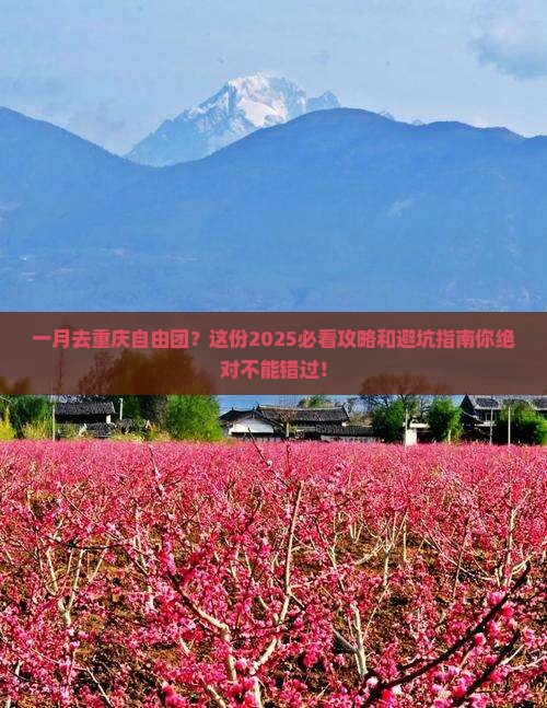 一月去重庆自由团