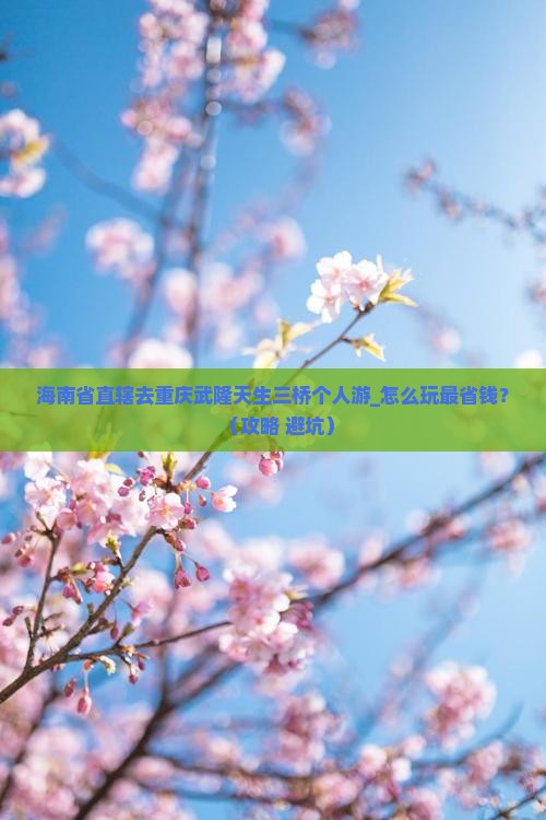 海南省直辖去重庆武隆天生三桥个人游