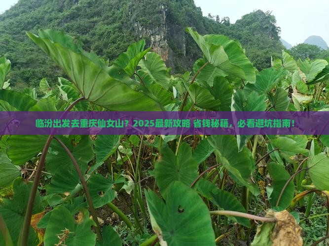 临汾去重庆仙女山必去地