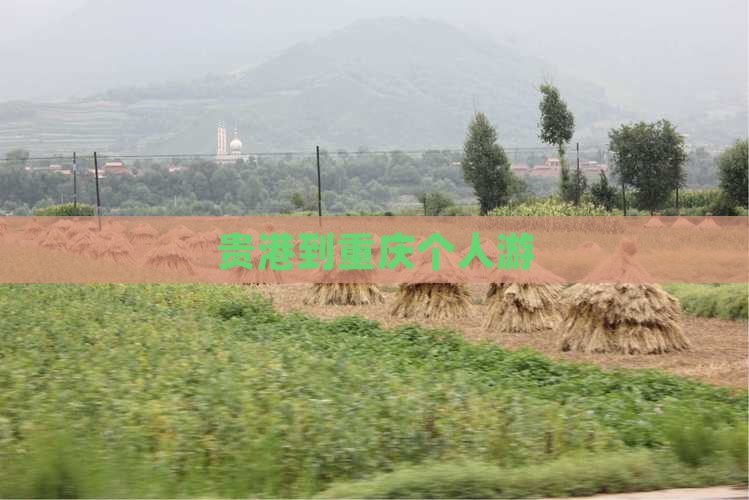 贵港到重庆个人游