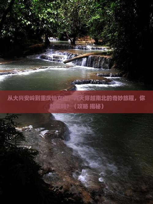 大兴安岭去重庆仙女山六日游
