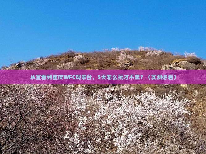 宜春去重庆wfc观景台五日游