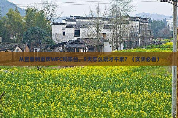 宜春去重庆wfc观景台五日游
