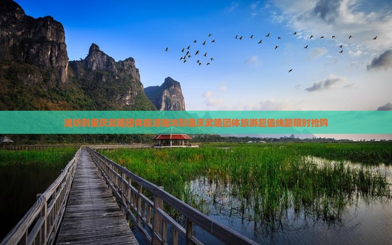 潍坊到重庆武隆团体旅游