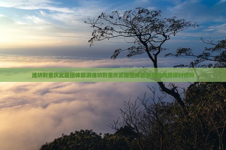 潍坊到重庆武隆团体旅游