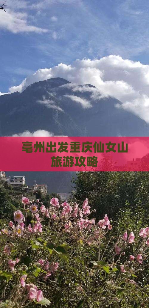 亳州到重庆仙女山自由行