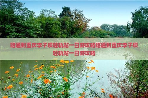 昭通到重庆李子坝轻轨站一日