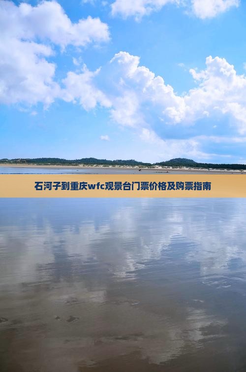 石河子到重庆wfc观景台门票