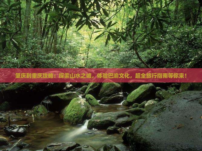 肇庆到重庆攻略