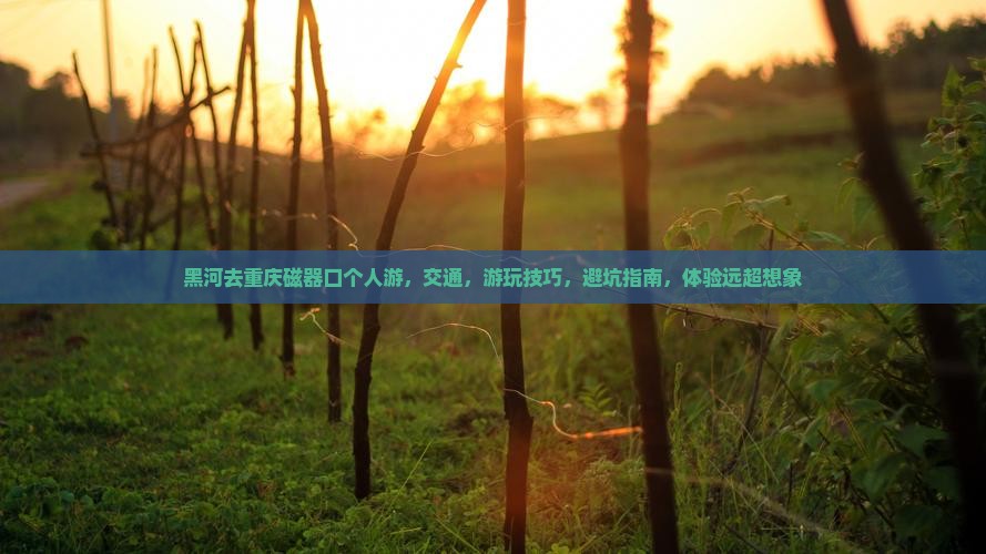 黑河去重庆磁器口个人游