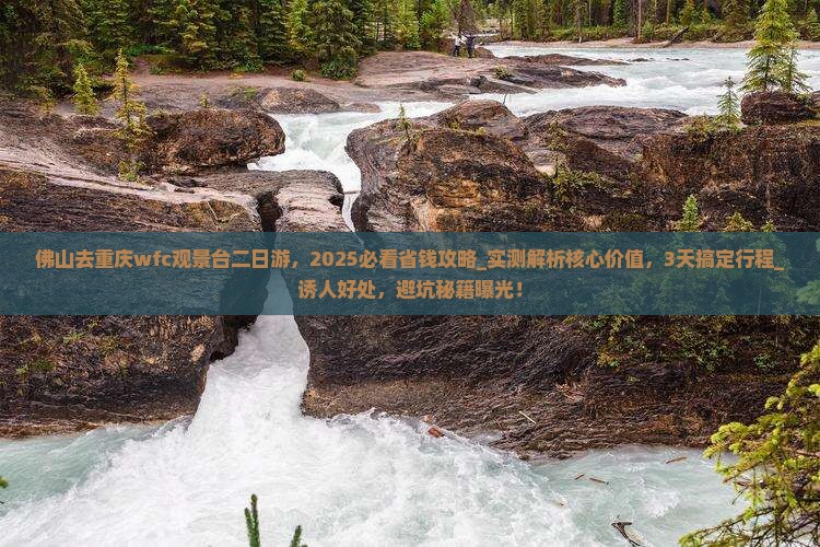 佛山去重庆wfc观景台二日游