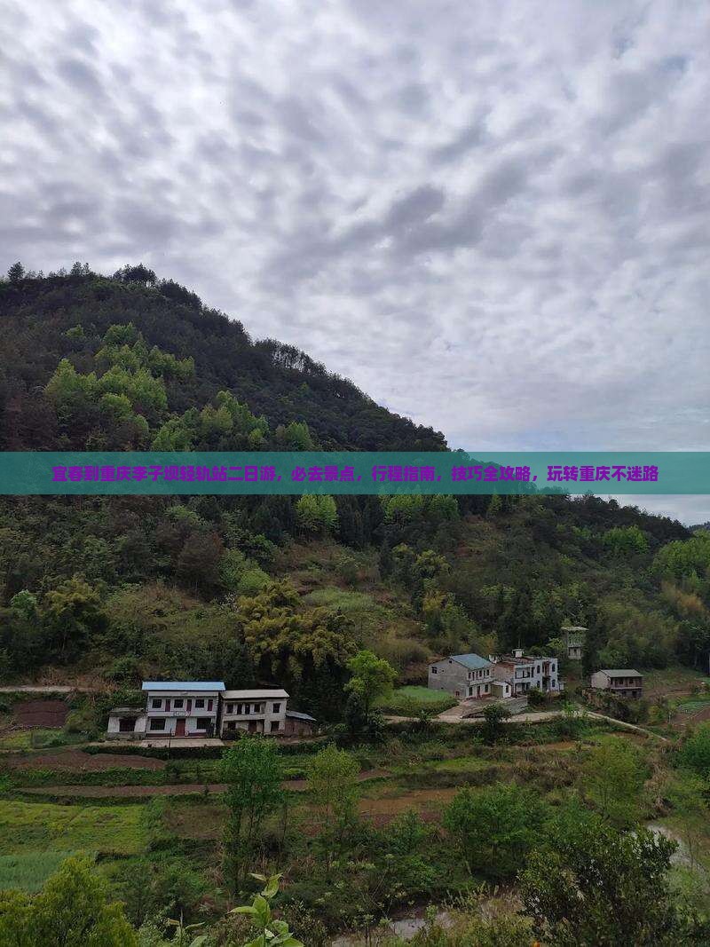 宜春到重庆李子坝轻轨站二日游