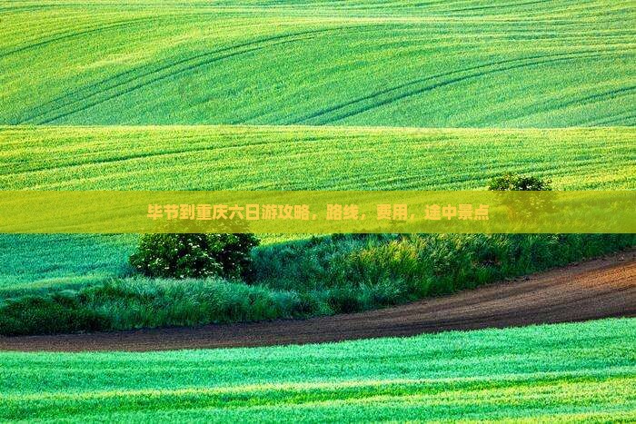 毕节到重庆六日游