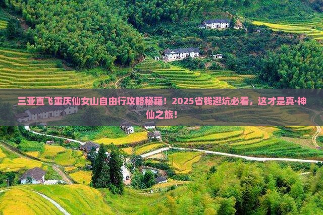 三亚去重庆仙女山自由团