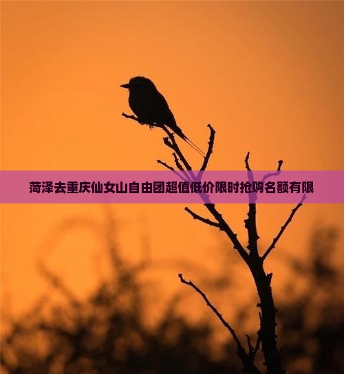 菏泽去重庆仙女山自由团